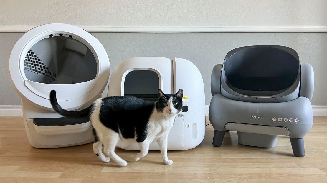 Best Cat Litter Boxes for Easy Cleaning USA